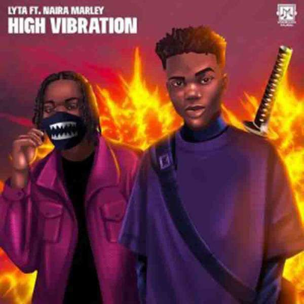 High Vibration(feat. Naira Marley)